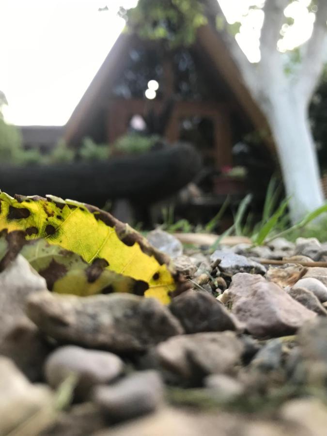 Бунгало Kheivani Exterior foto